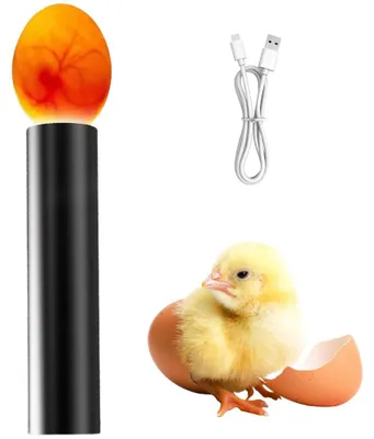 LED-Eierprüflampe, kaltes Licht, USB, 3 Modi, für Brut- und Hühnereier