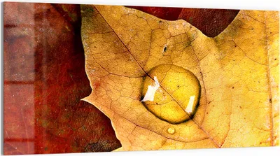Produktbild von DEQORI Glasbild Echtglas 100x50 cm 'Tropfen des Wandels' Wandbild Bild modern Deko