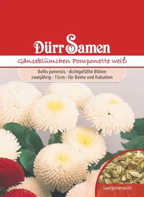 Produktbild von Gänseblümchen Tausendschön | Gänseblümchensamen von Dürr Samen