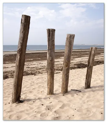 Produktbild von Wallario Herdabdeckplatte aus Glas, Größe 52 x 60 cm 1-teilig, Motiv Sandstrand mit Holzpfählen am Atlantischen Ozean