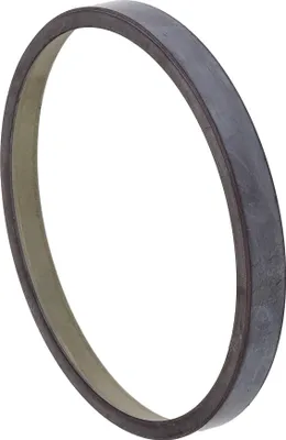 Zdjęcie produktu dla Pierścień czujnika, ABS MERCEDES-BENZ C219, S/W211, S/W212 R230, 300 C