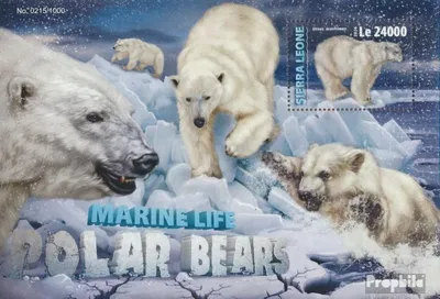 Produktbild von Briefmarken Sierra Leone 2016 Mi Block 950 (kompl. Ausg.) postfrisch Eisbären