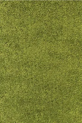 Obrázek produktu pro 140x200 cm Kusový koberec Life Shaggy 1500 green