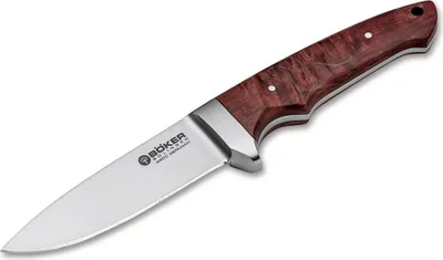 Image de Integral II Maserbirke