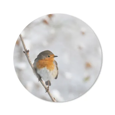 Produktbild von MuchoWow® Mauspad Mousepad Vogel - Rotkehlchen - Winter 40x40 cm - Mousepads - Maus Mat - Pad - Mausunterlage - Schreibtisch Accessoires