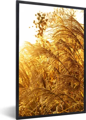 Produktbild von MuchoWow® Gerahmtes Poster Pampasgras - Sonne - Gras 60x90 cm - Poster mit Schwarzem Bilderrahmen Wandposter Rahmen Foto Bilder - Kunst
