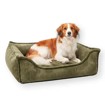 Produktbild von 4L Textil HUGO Orthopädisches Hundebett aus Cord mit Visco-Schaumstoff, abnehmbarer Bezug, für kleine und mittelgroße Hunde, 80x60 cm, Olivgrün