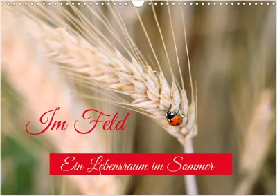 Produktbild von Im Feld (Wandkalender 2025 DIN A3 quer), CALVENDO Monatskalender