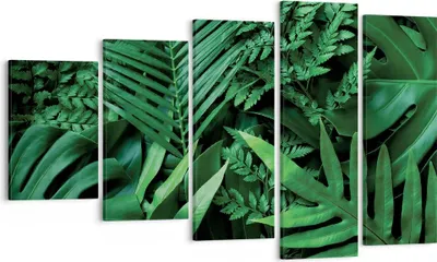 Produktbild von Bild auf Leinwand - Leinwandbild - 5 Teile - Exotisch Blätter Monstera - 100x60cm - Wand Bild - Wanddeko - Wandbilder - Leinwanddruck - Bilder - Wanddekoration - Leinwand bilder - EG100x60-4746
