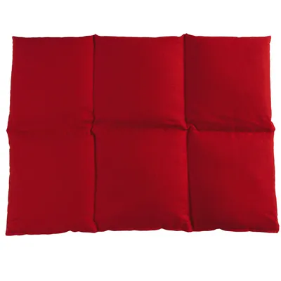 Produktbild von Giraffenland großes Traubenkernkissen 40x30cm 6-Kammer - kirschrot - Wärme und Kälte - Kissen 30x40 - Traubenkerne - kirschrot