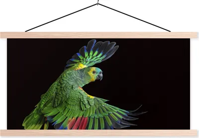 Produktbild von MuchoWow® Textilposter Nahaufnahme bunter Papagei 120x60 cm mit holzfarbenen Rahmen - Klemmleiste