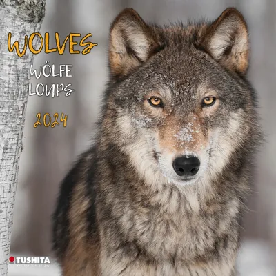 Produktbild von Wolves 2024