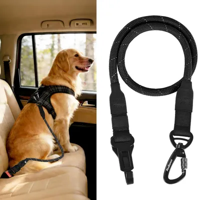 Produktbild von Hunde Sicherheitsgurt für Auto, Anschnallgurt mit Karabiner, Schwarz