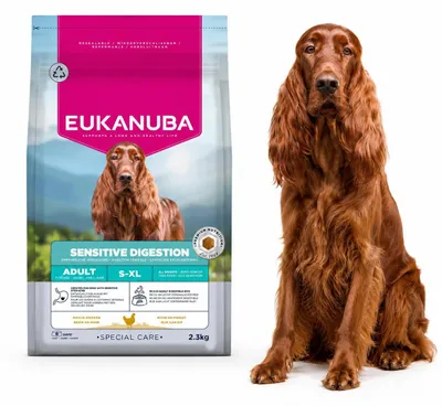 Productafbeelding van Eukanuba Special Care, kippenrecept, 12 kg droogvoer voor honden, AI-gegenereerde afbeelding