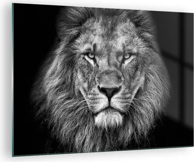 Produktbild von Bilder auf glas - Einteilig - Porträt Löwe Schwarzweiß - 70x50cm - Glasbilder - Wandbilder - Bilder - zum Aufhängen bereit - Wanddekoration aus Glas - Glas Bilder - Wandbild auf Glas - GAA70x50-4494