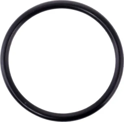 Produktbild von TOPRAN Dichtung Thermostat 101 117 für VW Golf IV Schrägheck (1J1) POLO (9N_)