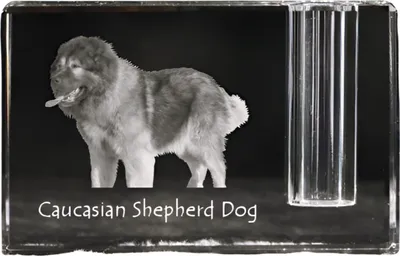 Produktbild von Kaukasischer Schäferhund, Kaukasischer Owtscharka - Stifthalter, Kristallorganizer mit Hundefoto, einzigartige Schreibtischdekoration der Marke Art-Dog