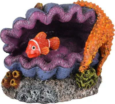 Produktbild von Flamingo Aquarium Dekoration Leto Muschel + Fisch