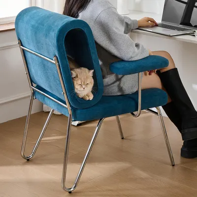 A person is working on a laptop at a desk, with a cat sleeping in a specially designed chair next to them.