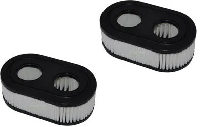 Produktbild von 2 X Luftfilter für Briggs & Stratton Motor 575IS 625E 625EX 650EXI 675E 725EXI