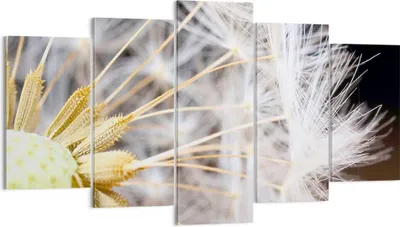 Produktbild von Bild auf Leinwand - Leinwandbild - Baby Sommer Pflanze - 160x85cm - Wand Bild - Wanddeko - Leinwanddruck - Bilder - Kunstdruck - Wanddekoration - Leinwand bilder - Wandkunst - EA160x85-3630