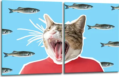 Produktbild von Herdabdeckplatten 2x40x52 Glaskeramikfeld 2-Teilig Glas Spritzschutz Katze