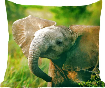 Produktbild von MuchoWow® Zierkissen Sofakissen Wohnzimmer Dekokissen 50x50 cm Elefant - Grün - Tiere - Natur - Komfort - Sofakissen