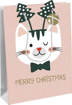 Produktbild von Clairefontaine 6x Geschenktasche 26,5x14x33cm, Weihnachten Rosa X-29529-2C