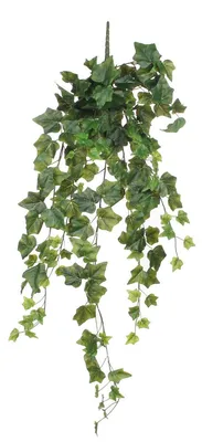 Produktbild von Mica Decorations Hedera hängende Kunstpflanze - H86 cm - Grün