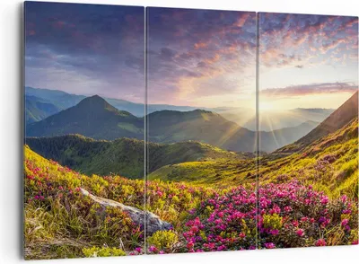 Produktbild von Bild auf Leinwand - Leinwandbild - Gebirge Wiese Landschaft Wald - 165x110cm - Wand Bild - Wanddeko - Leinwanddruck - Bilder - Kunstdruck - Leinwand bilder - Wandkunst - CE165x110-3152