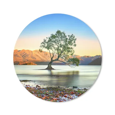 Produktbild von MuchoWow® Mauspad Mousepad Neuseeland - Baum - See 20x20 cm - Mousepads - Maus Mat - Pad - Mausunterlage - Schreibtischmatte