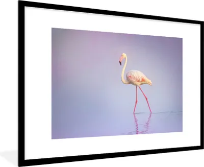 Produktbild von MuchoWow® MuchoWow® Gerahmtes Poster Flamingo - Wasser - Rosa 90x60 cm - Poster mit zchwarzem Bilderrahmen - Wanddekoration - Fotos
