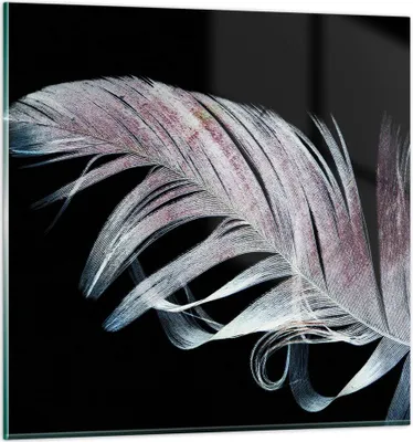 Produktbild von Bilder auf glas - Einteilig - Feder die Farben Zartheit - 70x70cm - Glasbilder - Wandbilder - Bilder - zum Aufhängen bereit - Wanddekoration aus Glas - Glas Bilder - Wandbild auf Glas - GAC70x70-4959