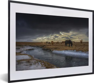 Produktbild von MuchoWow® MuchoWow® Gerahmtes Poster Pferde - Eis - Gras 40x30 cm - Poster mit zchwarzem Bilderrahmen - Bilderrahmen - Poster im Rahmen