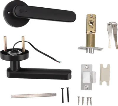 Image de Serrure de porte intelligente à empreinte digitale Serrure de porte à mot de passe pour Tuya APP Control pour la maison et l'hôtel