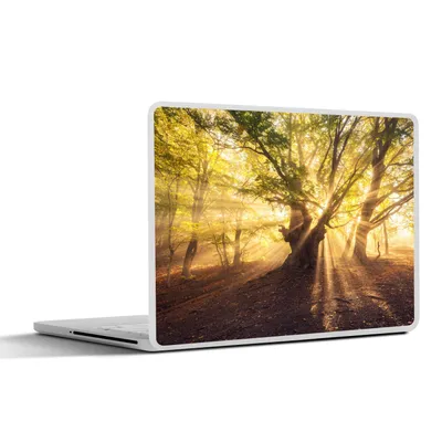 Produktbild von MuchoWow® Laptop Aufkleber Sticker Cover Baum - Wald - Sonne 32.5x23.5 cm - Sticker für Laptop - Selbstklebend