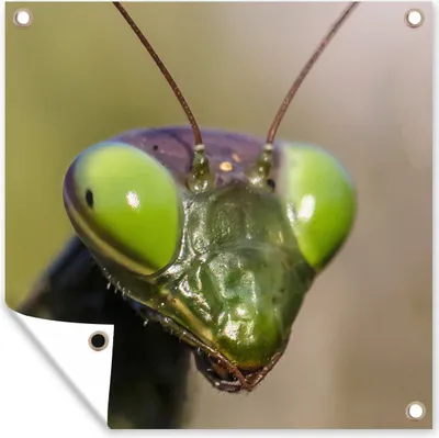 Produktbild von MuchoWow®