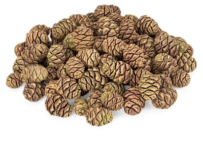 Produktbild von Mammutbaumzapfen 1kg 3-5cm ca. 90 Stk Sequoia Naturzapfen Deko DIY Adventskranz