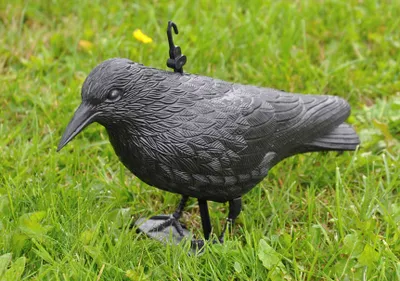 Produktbild von Vogelschreck Rabe - sitzend - 442178