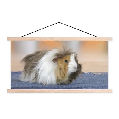 Produktbild von MuchoWow® Textilposter Mini-Meerschweinchen 60x30 cm mit holzfarbenen Rahmen - Dekoration