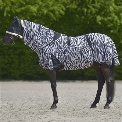 Produktbild von Waldhausen Ekzemdecke Zebra Pferdedecke 155 cm