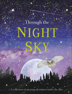 Produktbild von Through the Night Sky