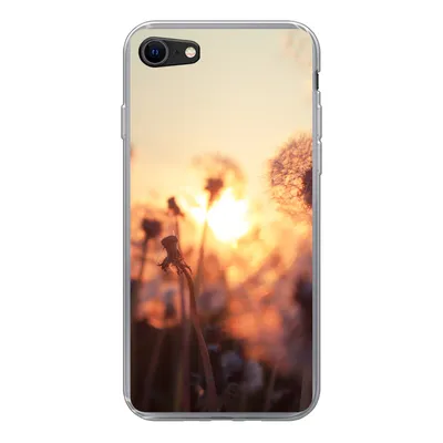 Produktbild von MuchoWow® Handyhülle Schutzhülle Hülle für iPhone 7 Löwenzahn - Sonnenuntergang - Frühling Silikon Softcase Handy Hülle - Kartenhalter