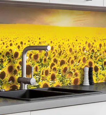Produktbild von Küchenrückwand selbstklebend Feld aus Sonnenblumen Spritzschutz Folie 400 x 60cm