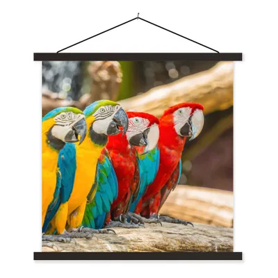 Produktbild von MuchoWow® Textilposter Vögel - Papagei - Tropisch - Natur 90x90 cm mit schwarzem Rahmen - Magnetisches