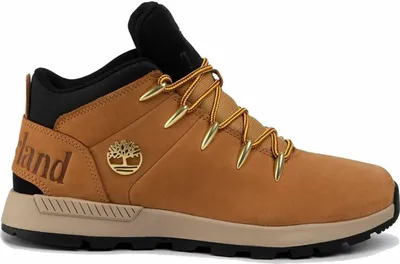 A studio shot of a Timberland Sprint Trekker Mid shoe.