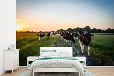 Produktbild von MuchoWow® Fototapete für Wohnzimmer oder Schlafzimmer Wandtapete Vinyl Motivtapete Kühe - Sonne - Straße - 330x220 cm - Fototapeten