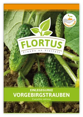 Produktbild von Einlegegurke Vorgebirgstrauben | Einlegegurkensamen von FLORTUS