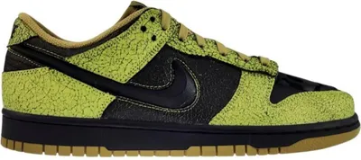 Zdjęcie produktu dla Buty Nike Dunk Low Retro Qs HV6103300