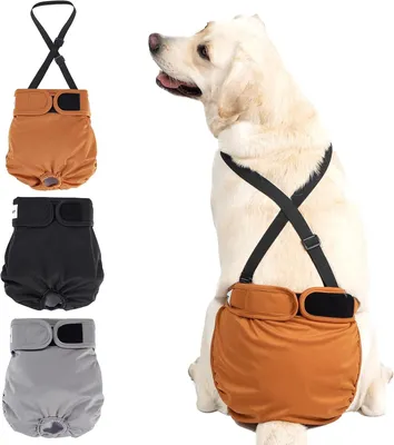 Image de Lot de 3 protections réutilisables pour chiennes, très absorbantes